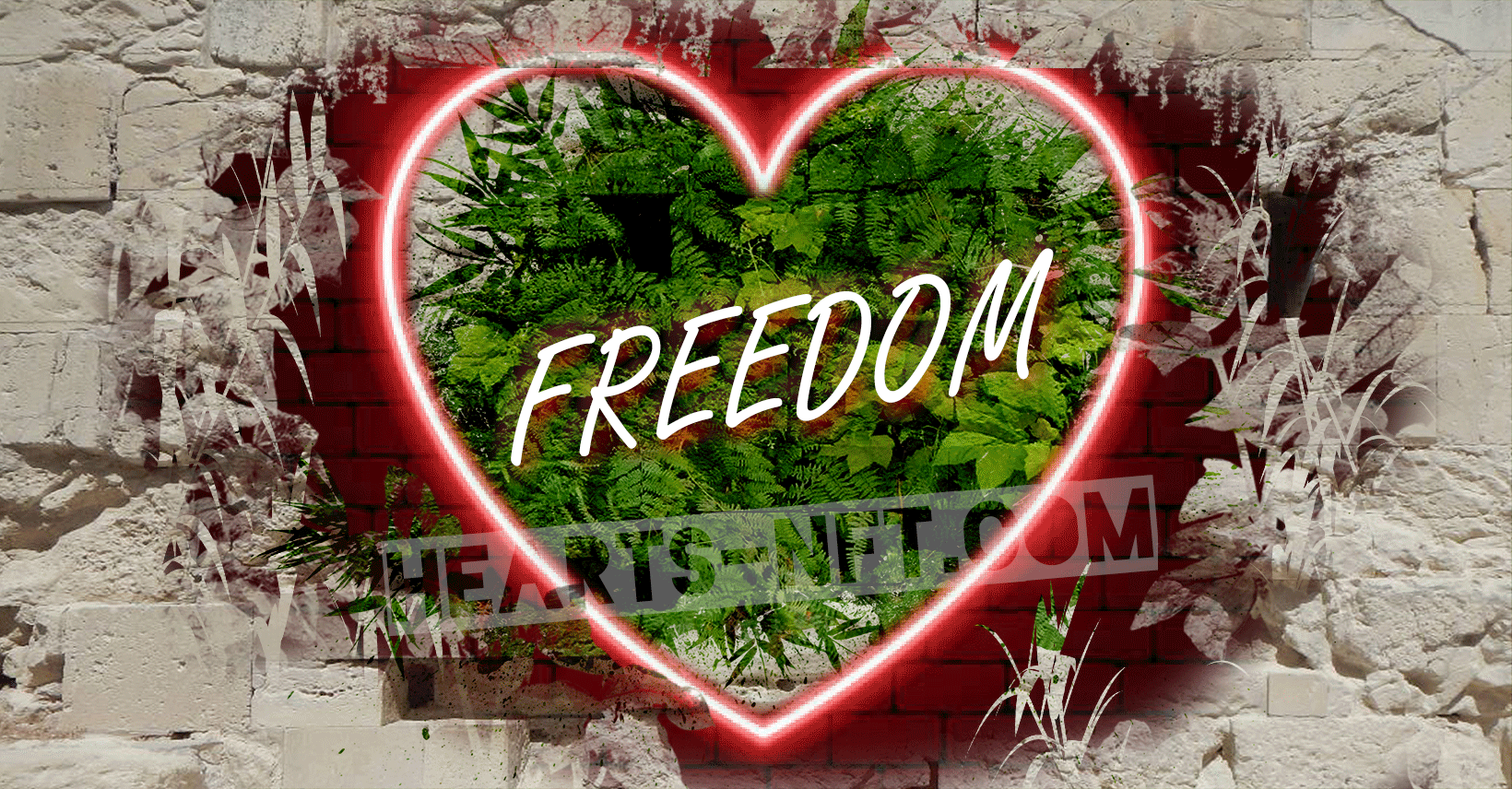 01-heART-FREEDOM.gif